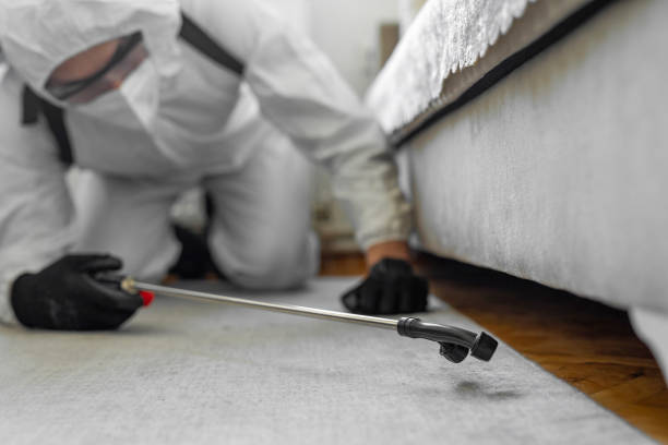 Professional Bed Bug Control technician working in Rock Island County County, IL